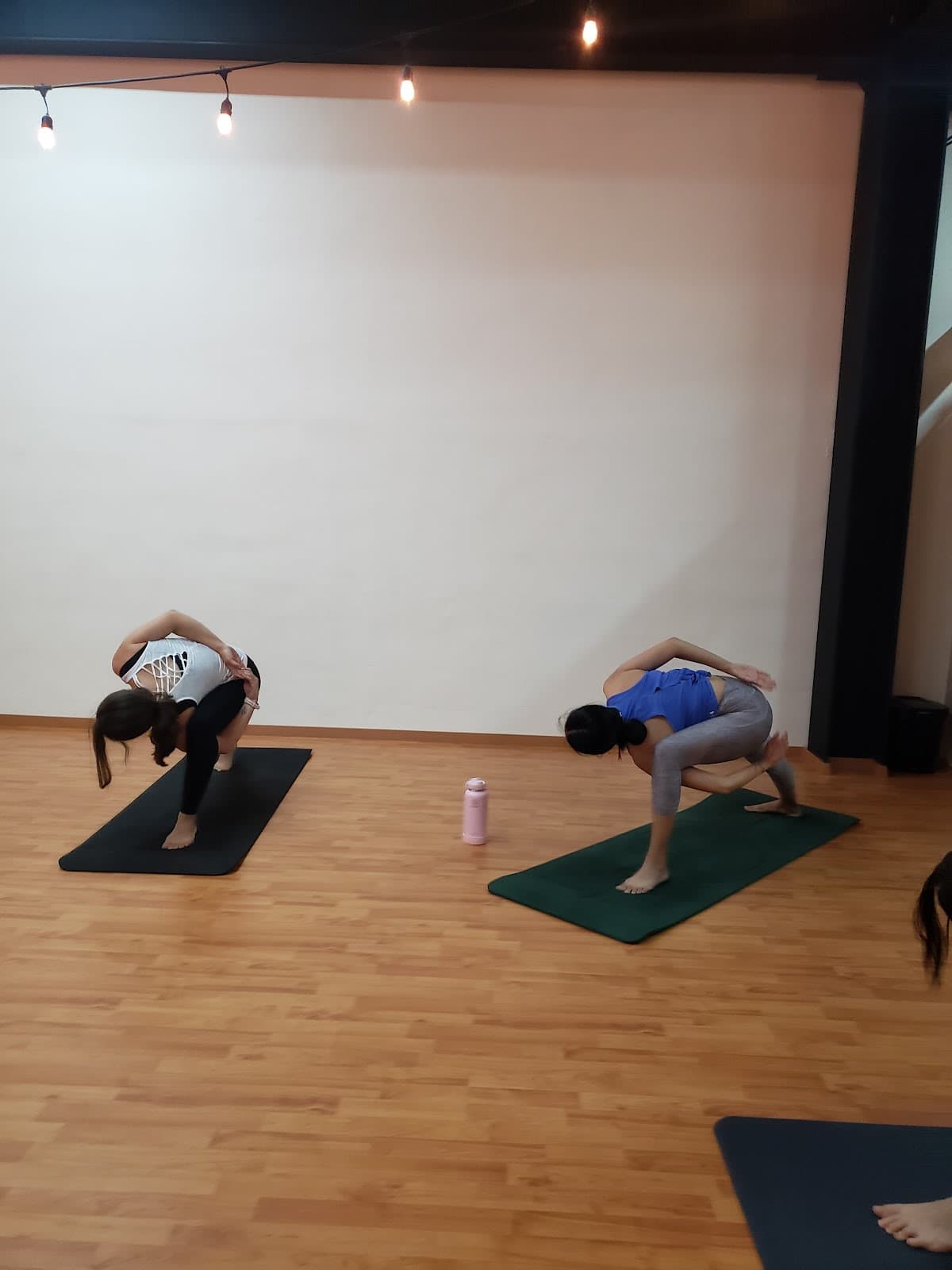 Anamaya Yoga®