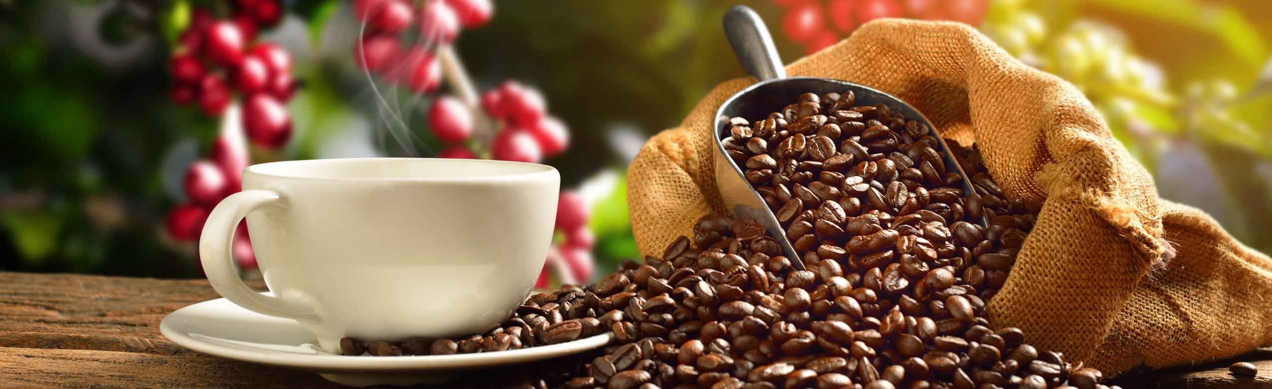 Anderson's Coffee Co