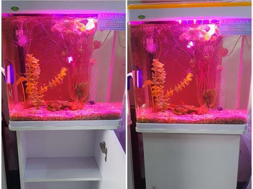 Aquanzeni