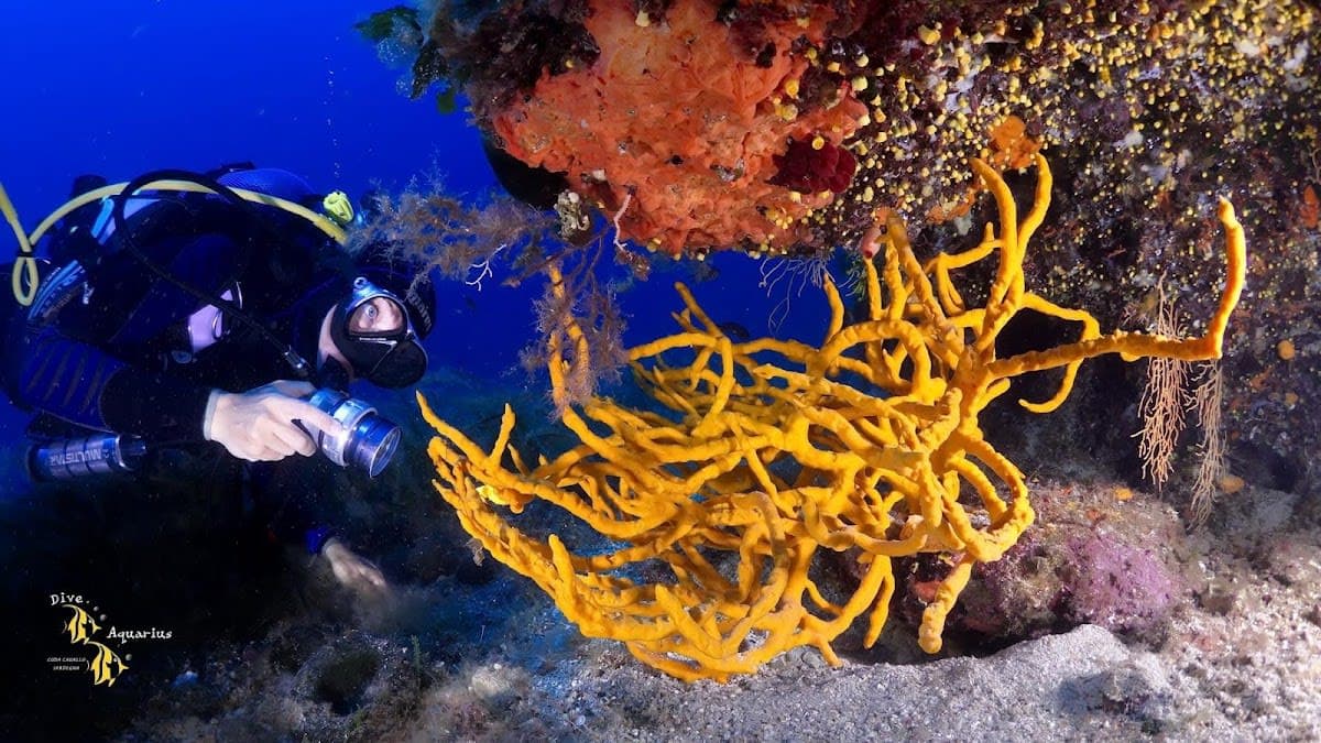 AQUARIUS Dive Center