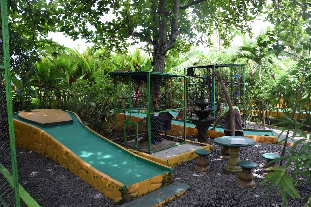 Bali Mini Golf Lounge