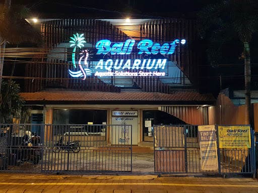 Bali Reef Aquarium