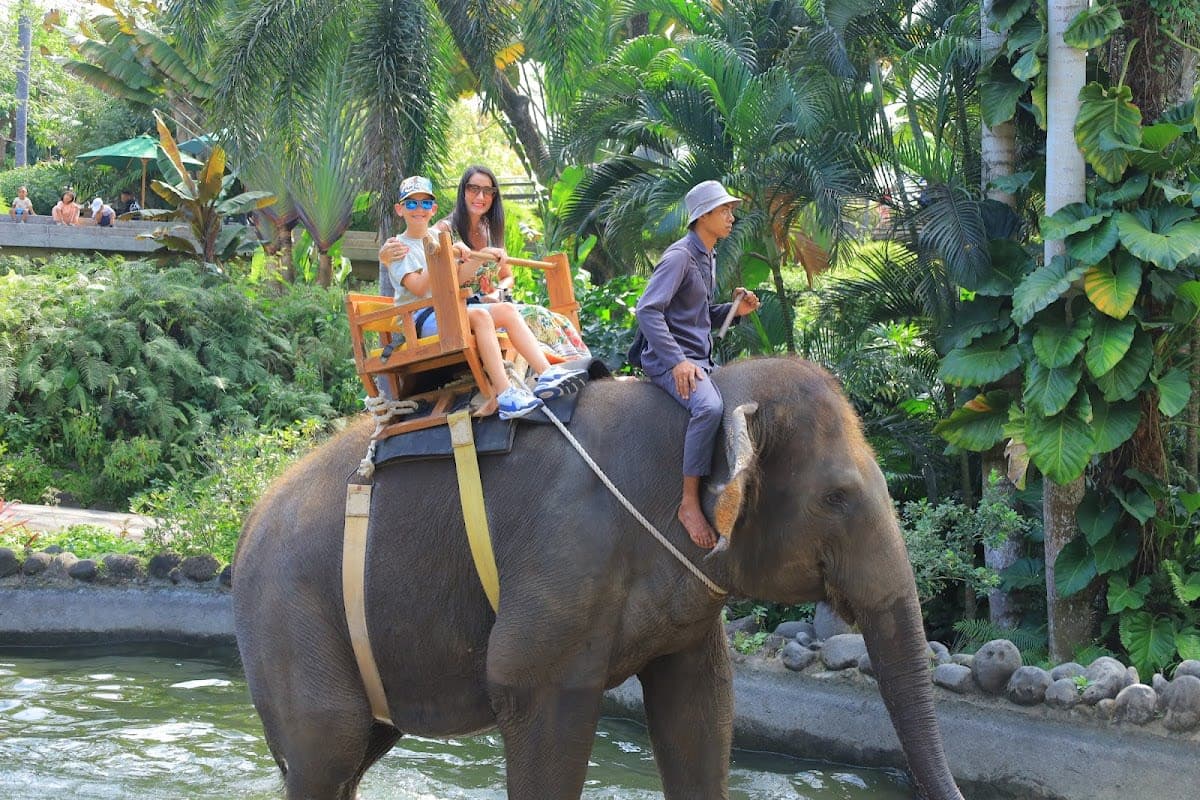 Bali Zoo