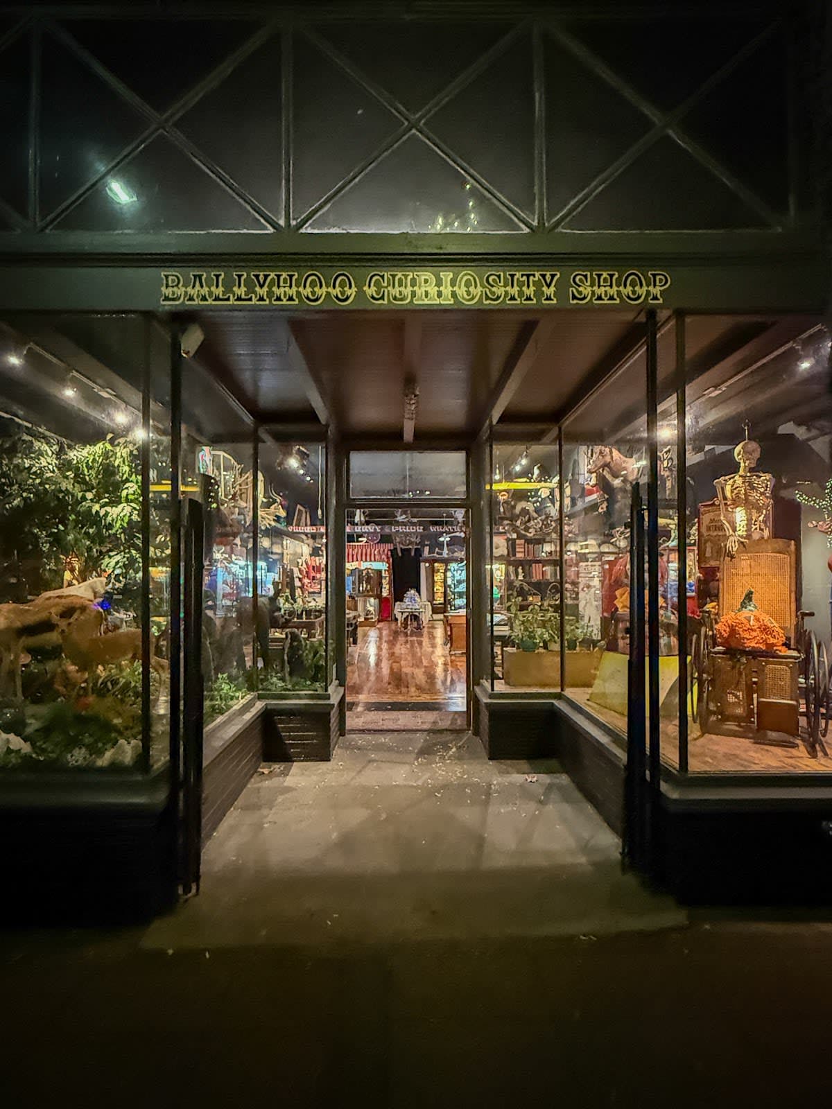 Ballyhoo Curiosity Shop