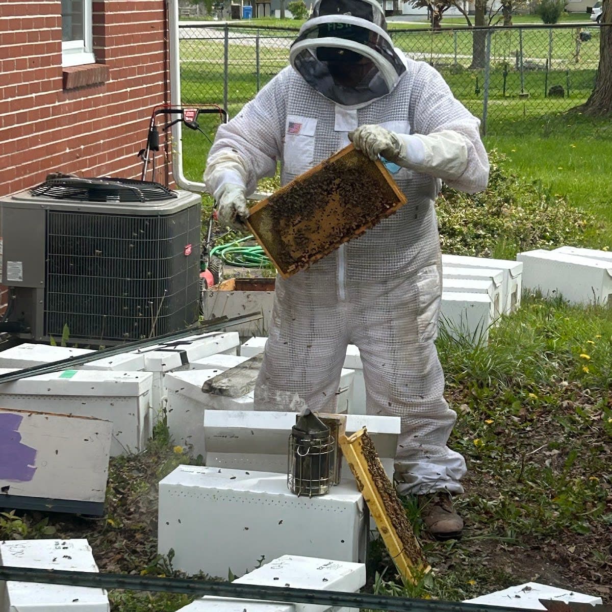 Bee Great