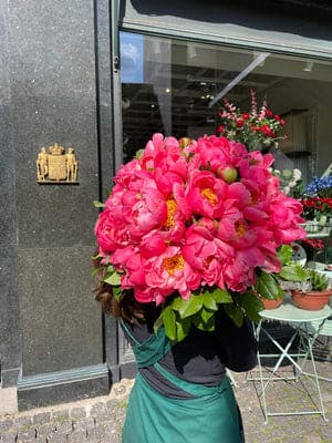 Bering House of Flowers