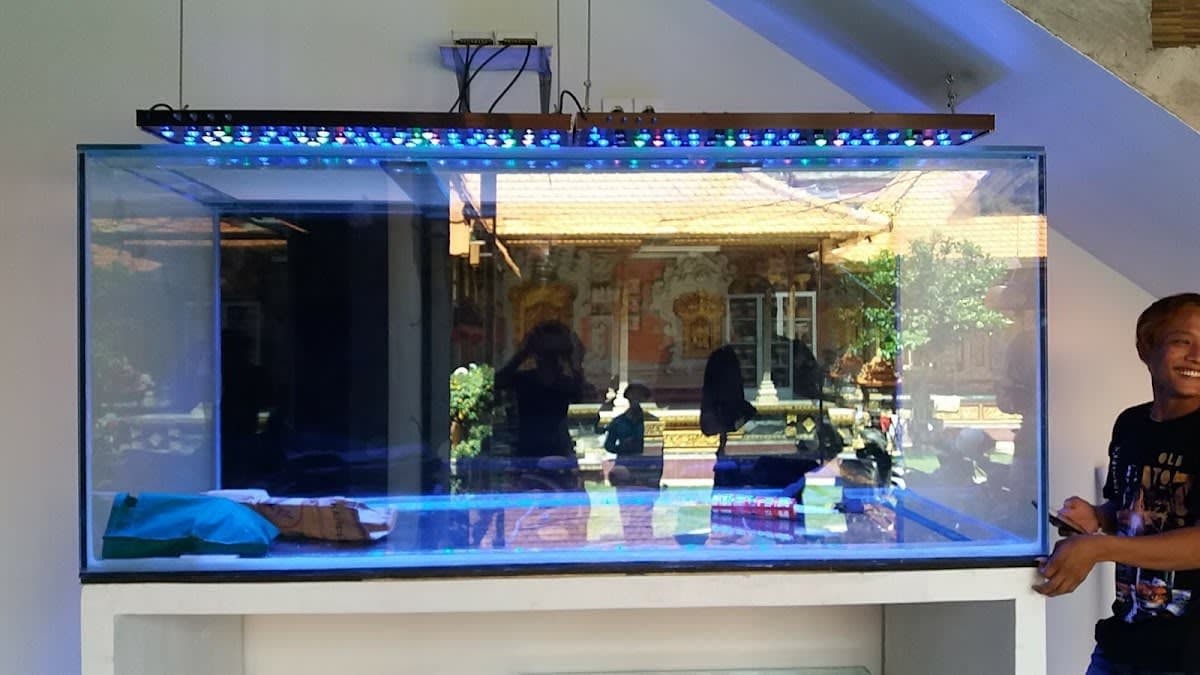 Berkat Aquarium