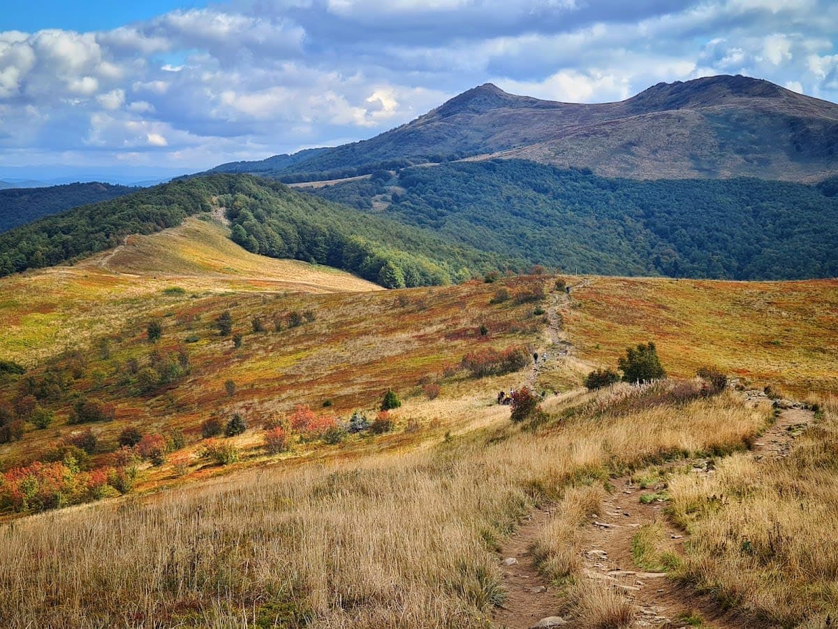 Bieszczady National Park