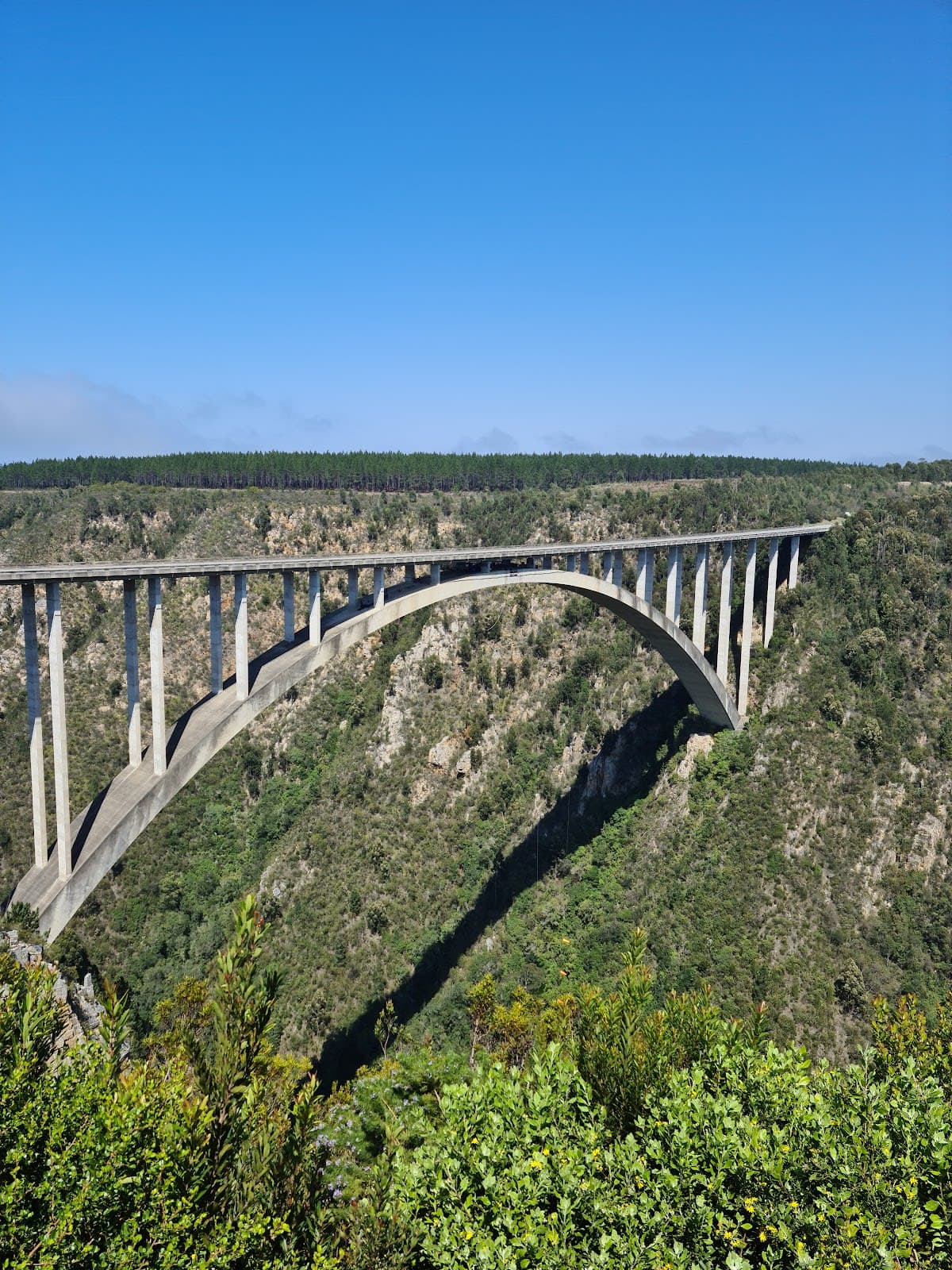 Bloukrans Bridge