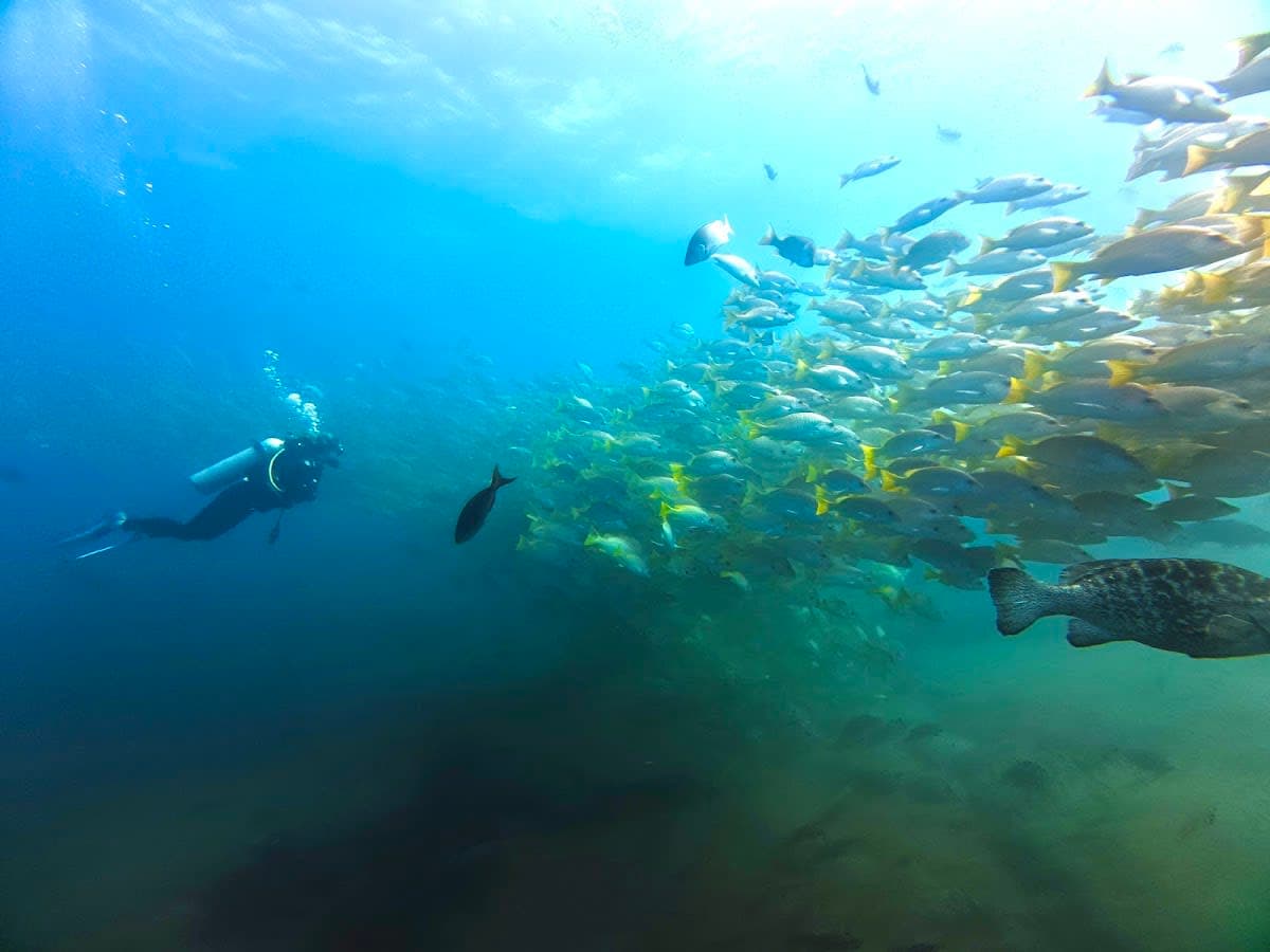 Cabo Pulmo Adventures