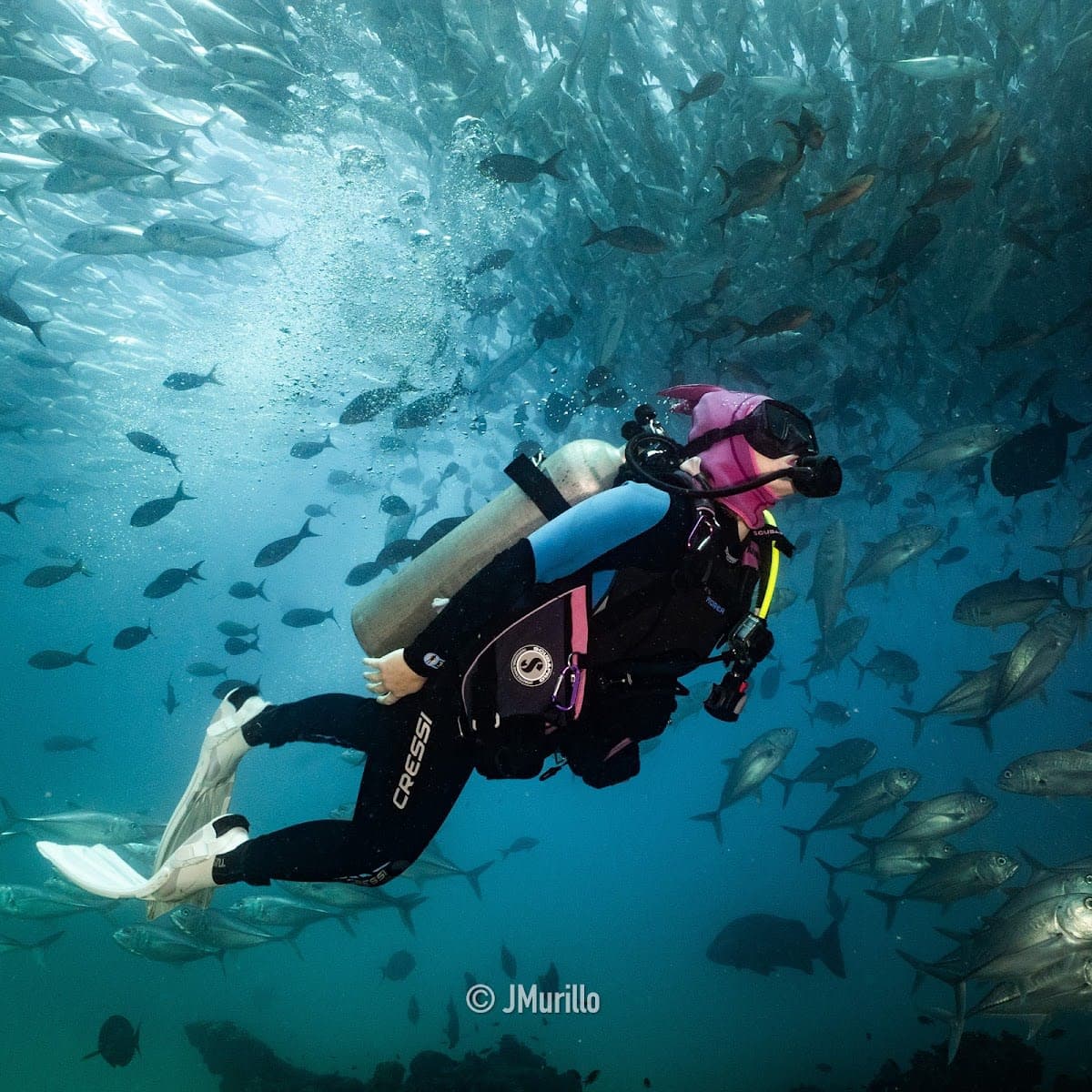Cabo Pulmo EcoAdventures