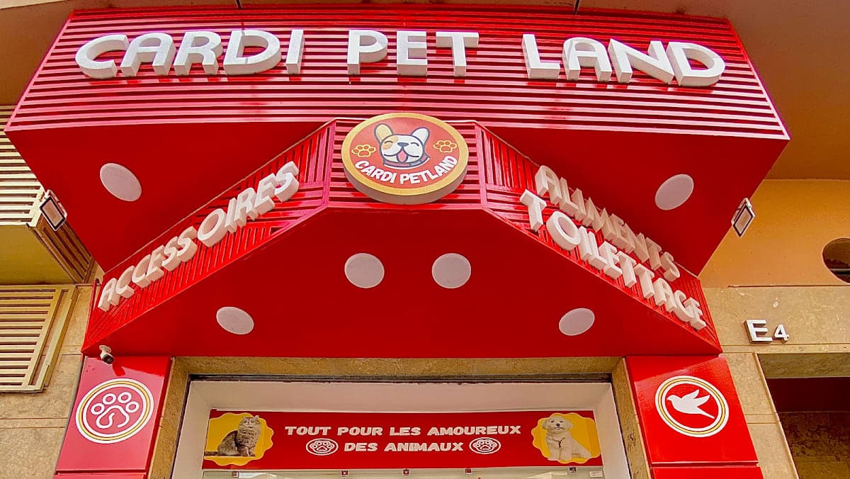 Cardi pet land