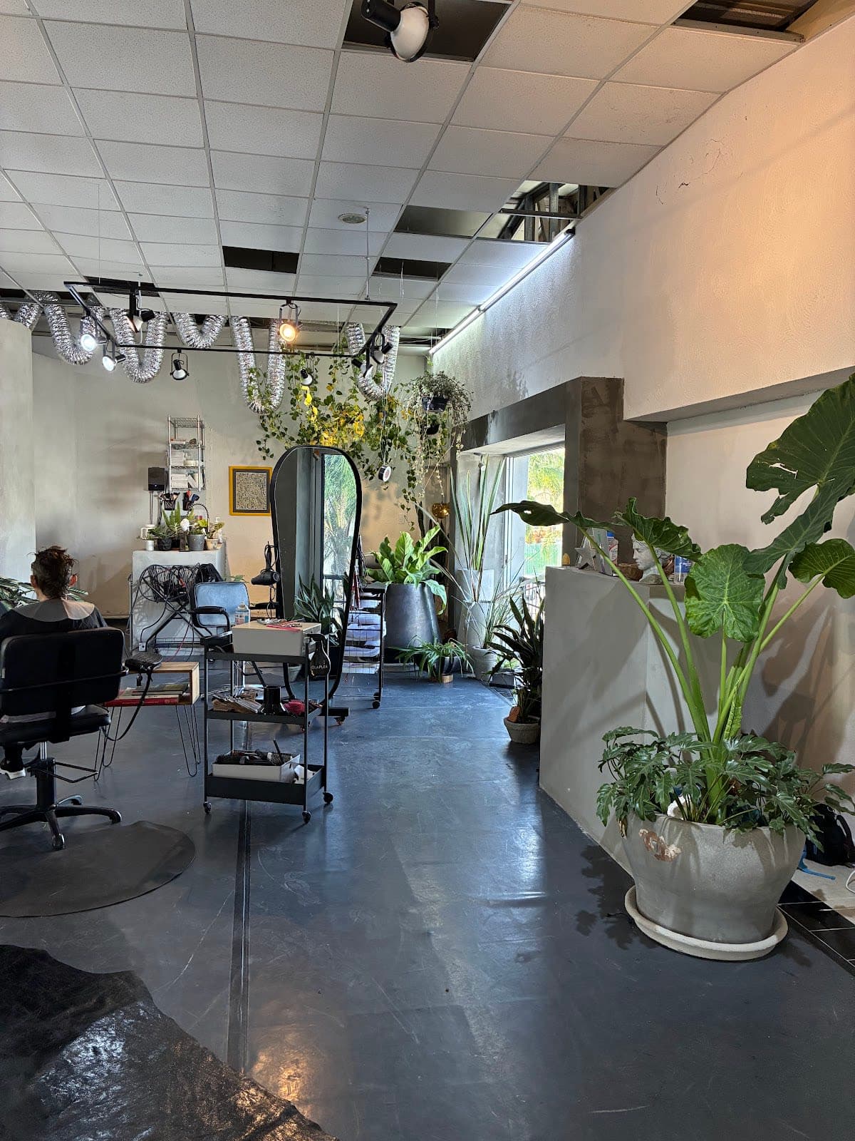 Carrot hair and art studio