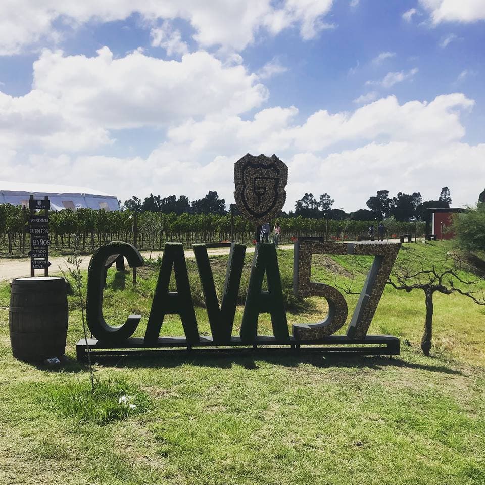 Cava 57
