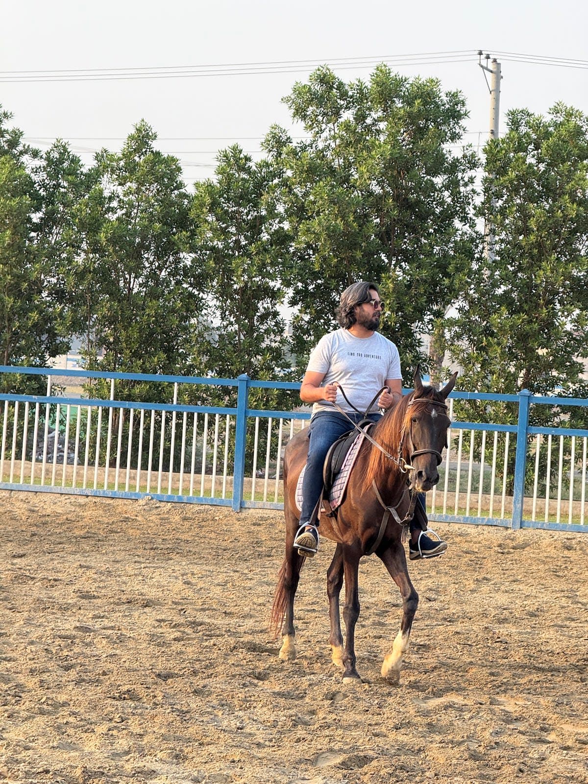 Central Park Horse Riding Club