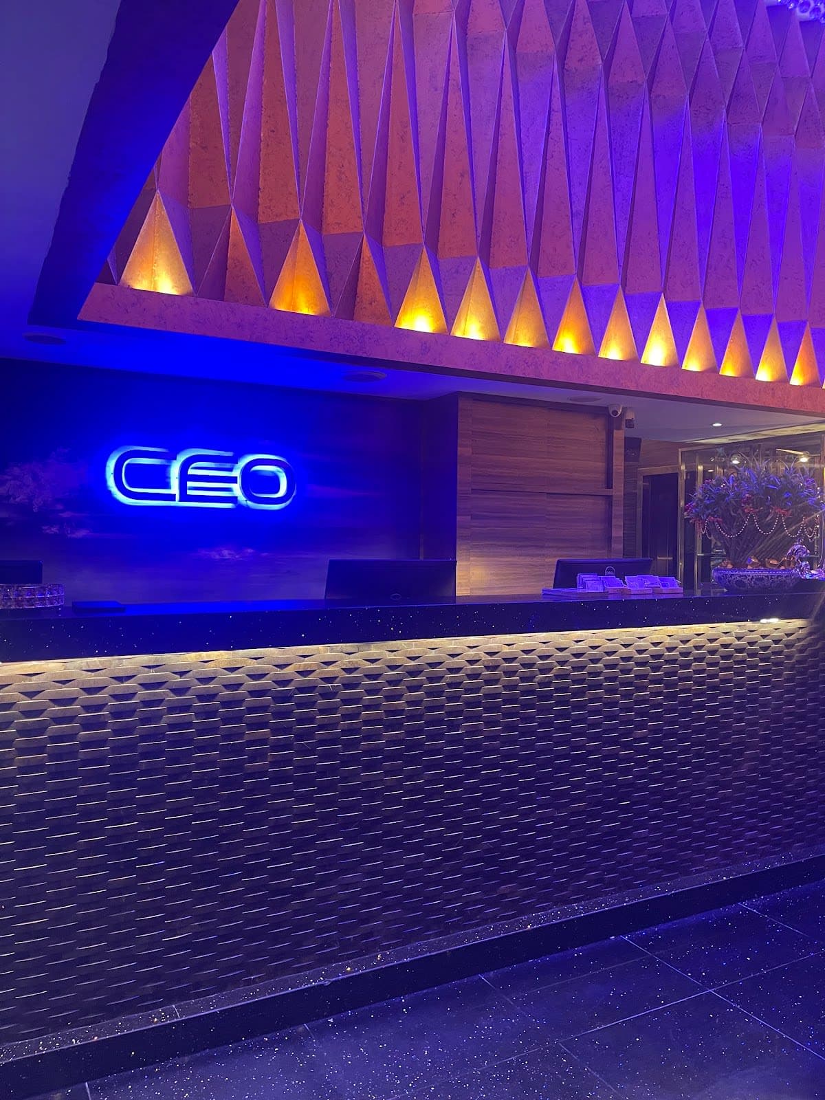 CEO Karaoke Box (F88)