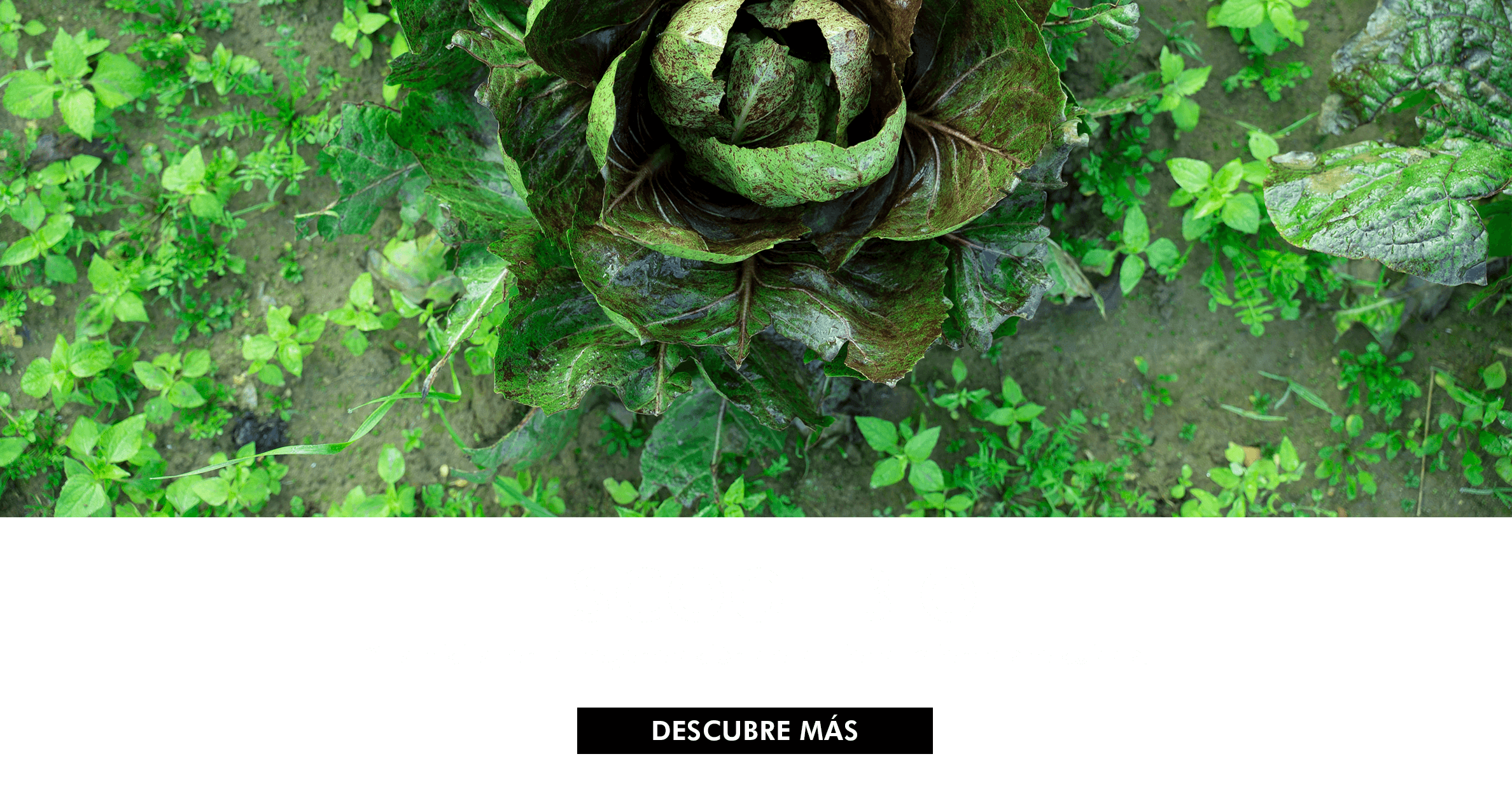 Ceres Natural sccl