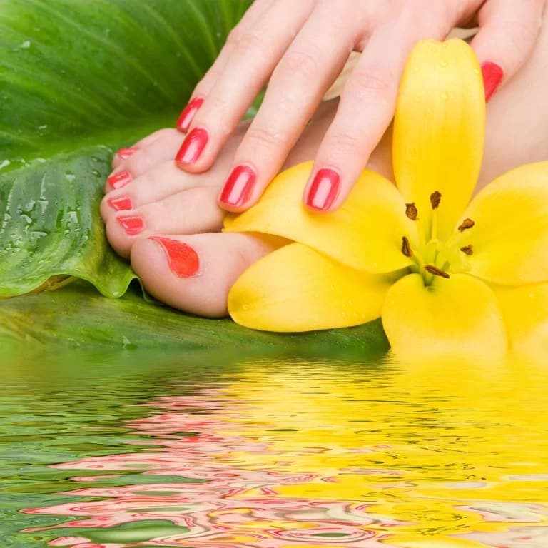 Chic's Nail Salon