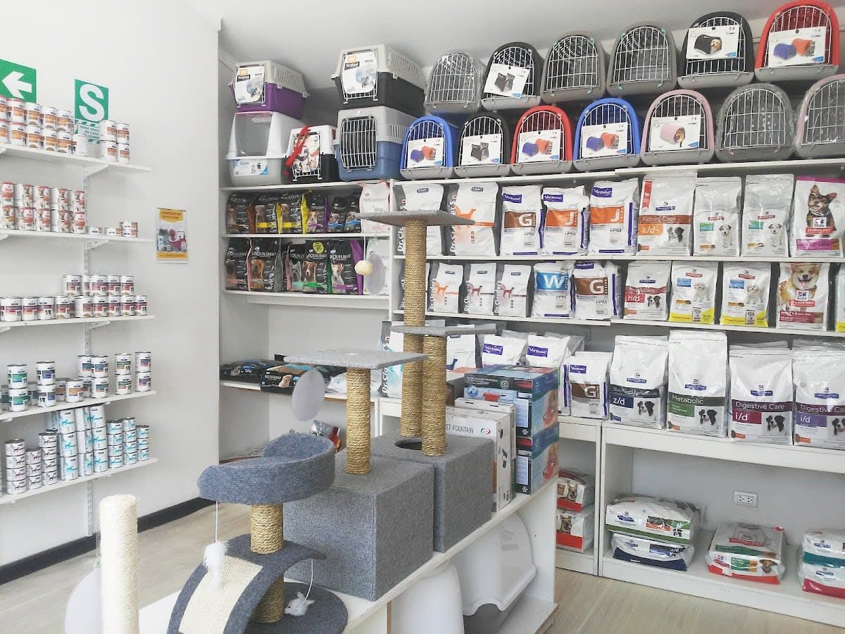 Clínica Veterinaria Groomers San Borja
