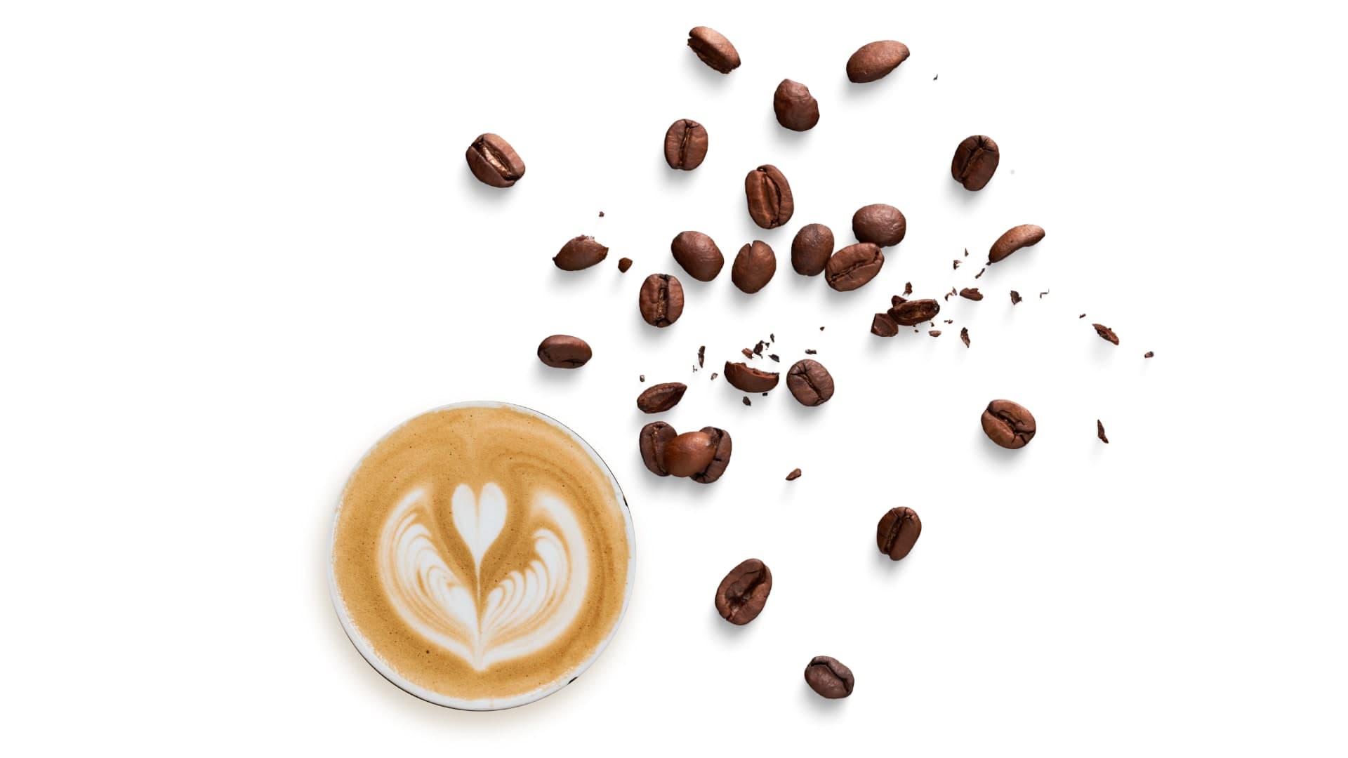 Connect Coffee Roasters