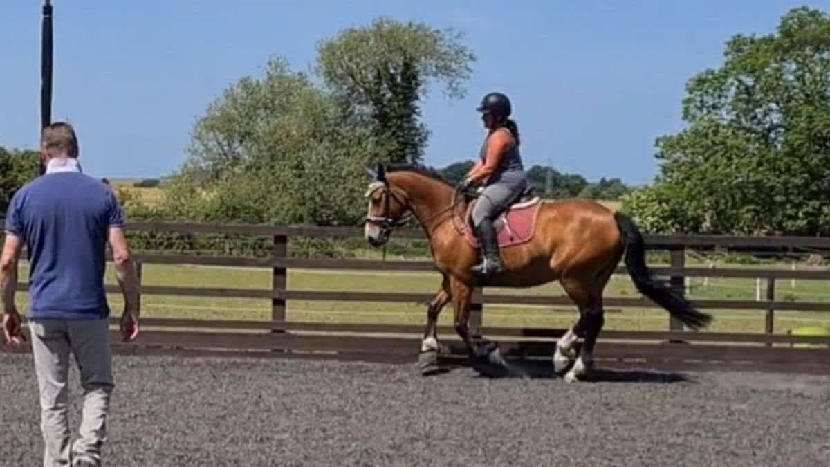 Cotswold Equestrian Academy