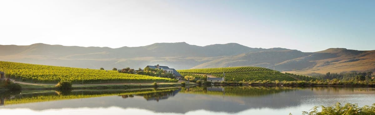 Creation Wines