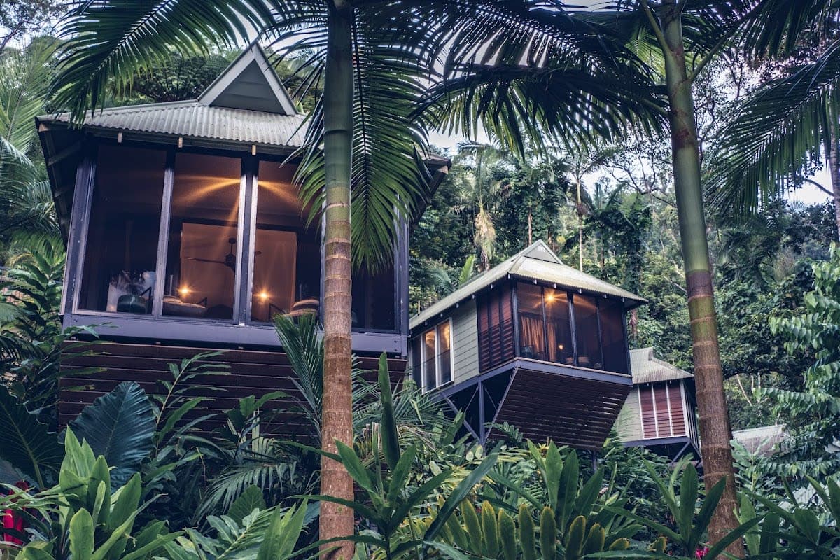 Daintree Ecolodge