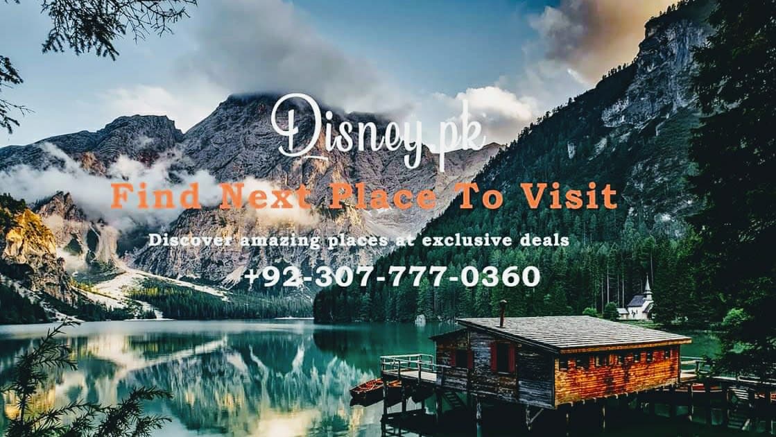 Disney Tours and Travels