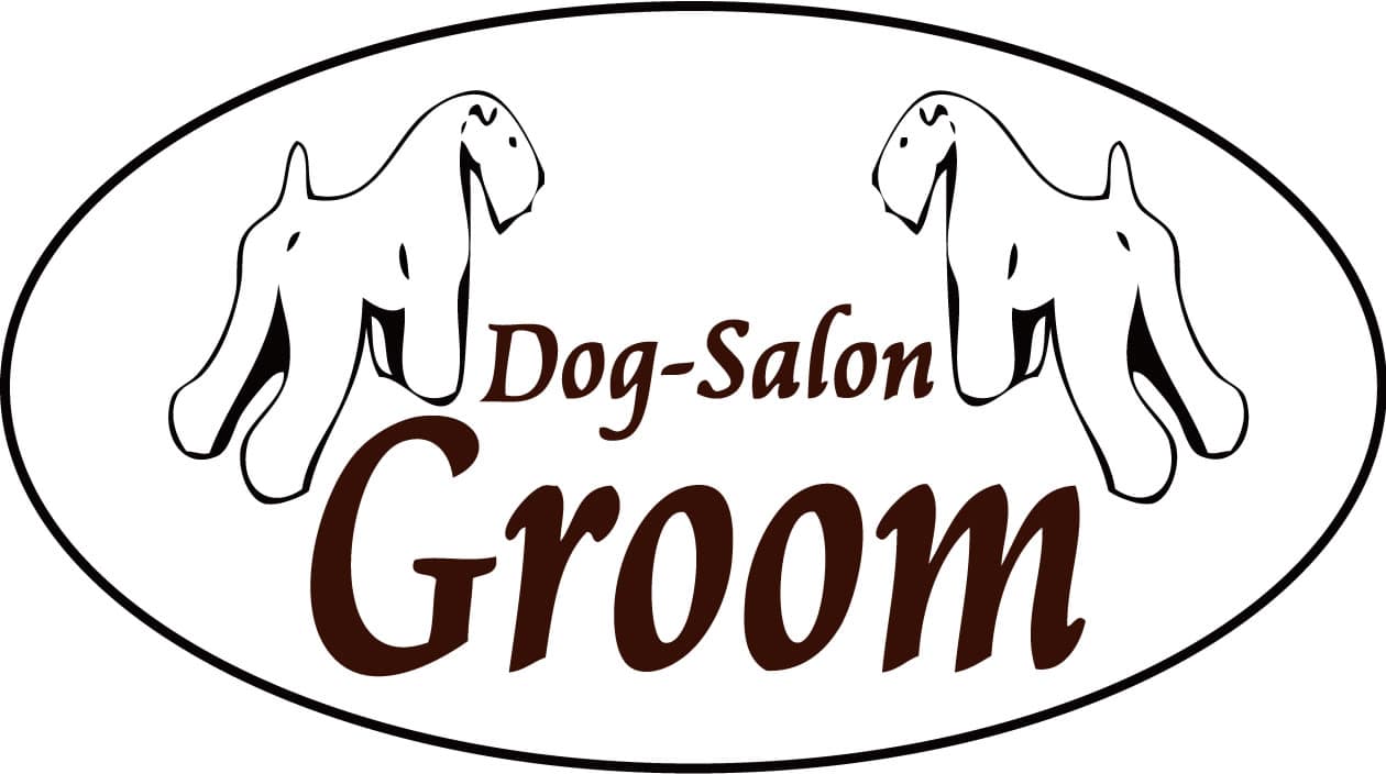 Dog-Salon Groom