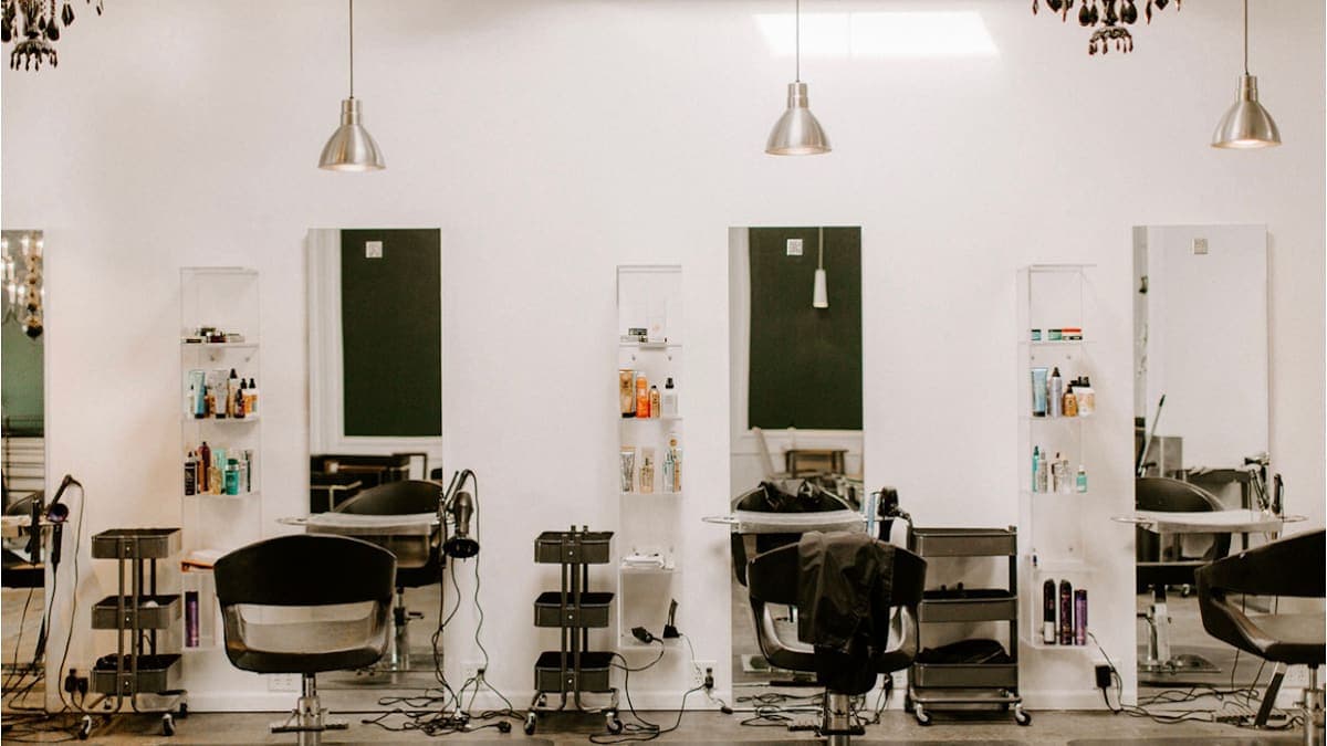 dsm salon