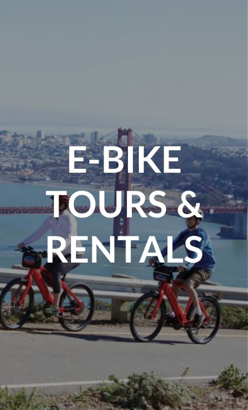 Dylan's Tours