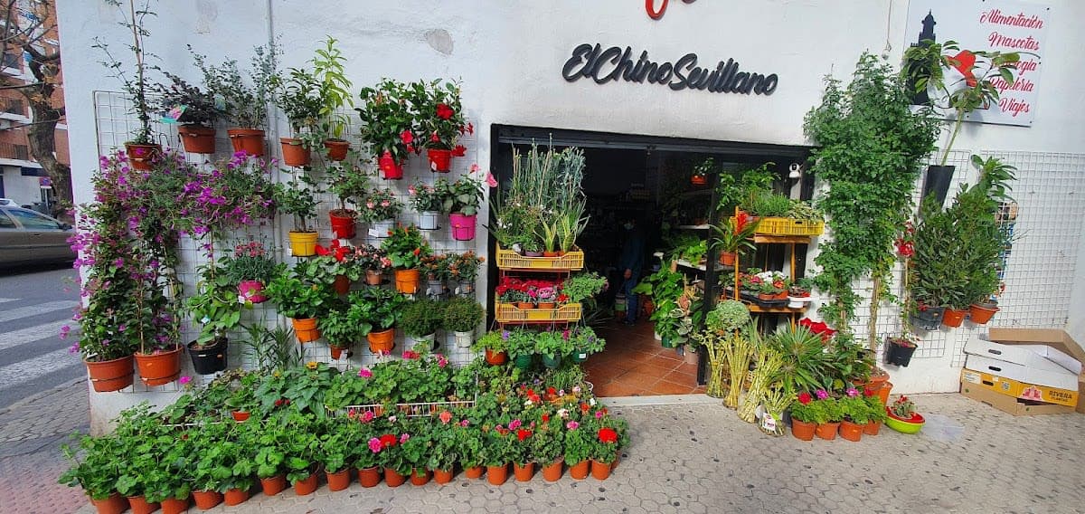 ElChinoSevillano
