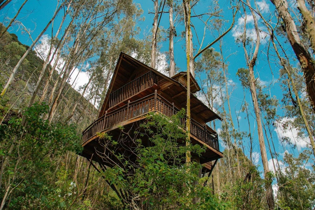 Equilibrium Lodge