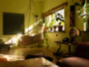 Evergreen Yoga Studios