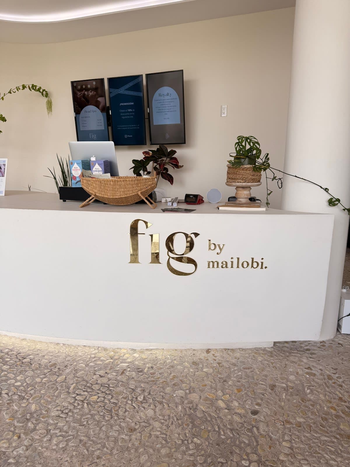 Fig Spa