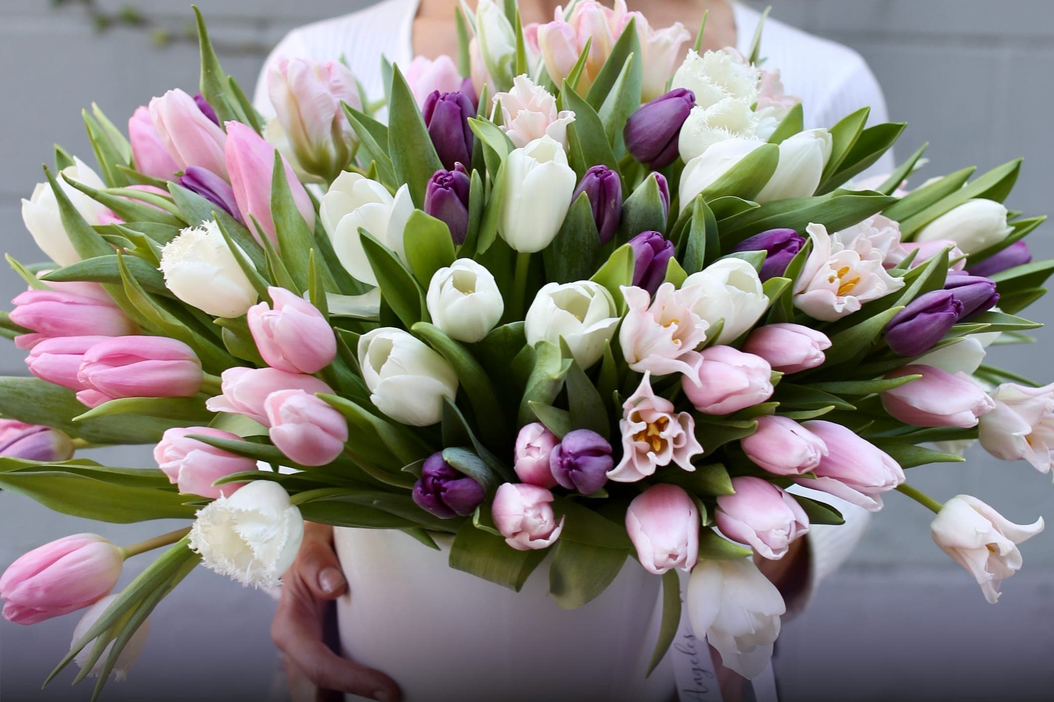 Florist Pink Clover