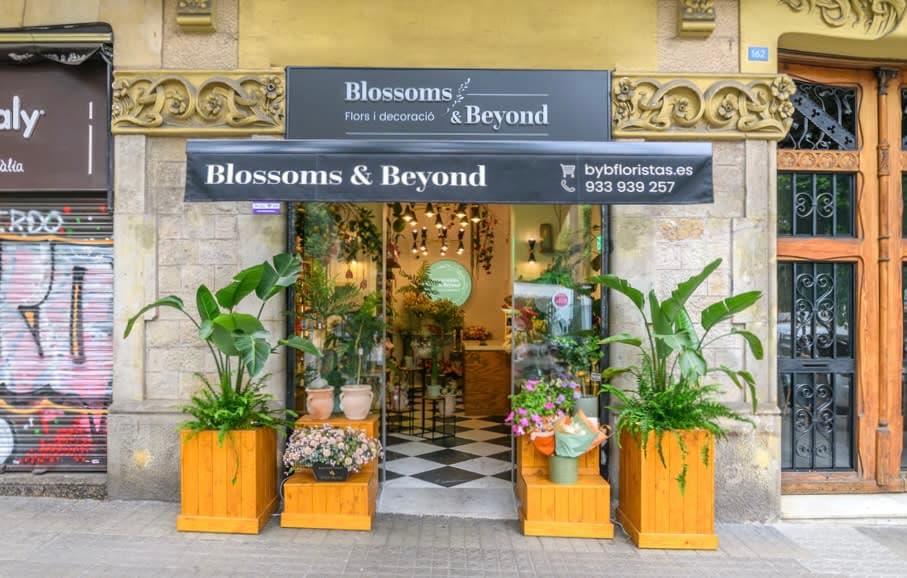 Floristería Blossoms & Beyond Eixample