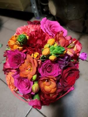 Floristica