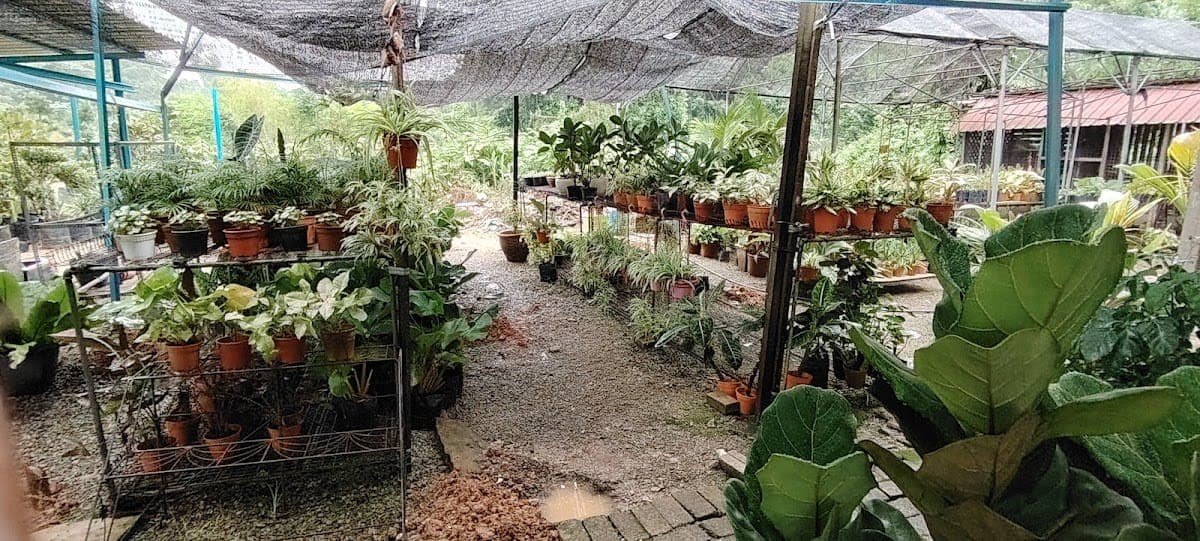 Garden Center Nursery