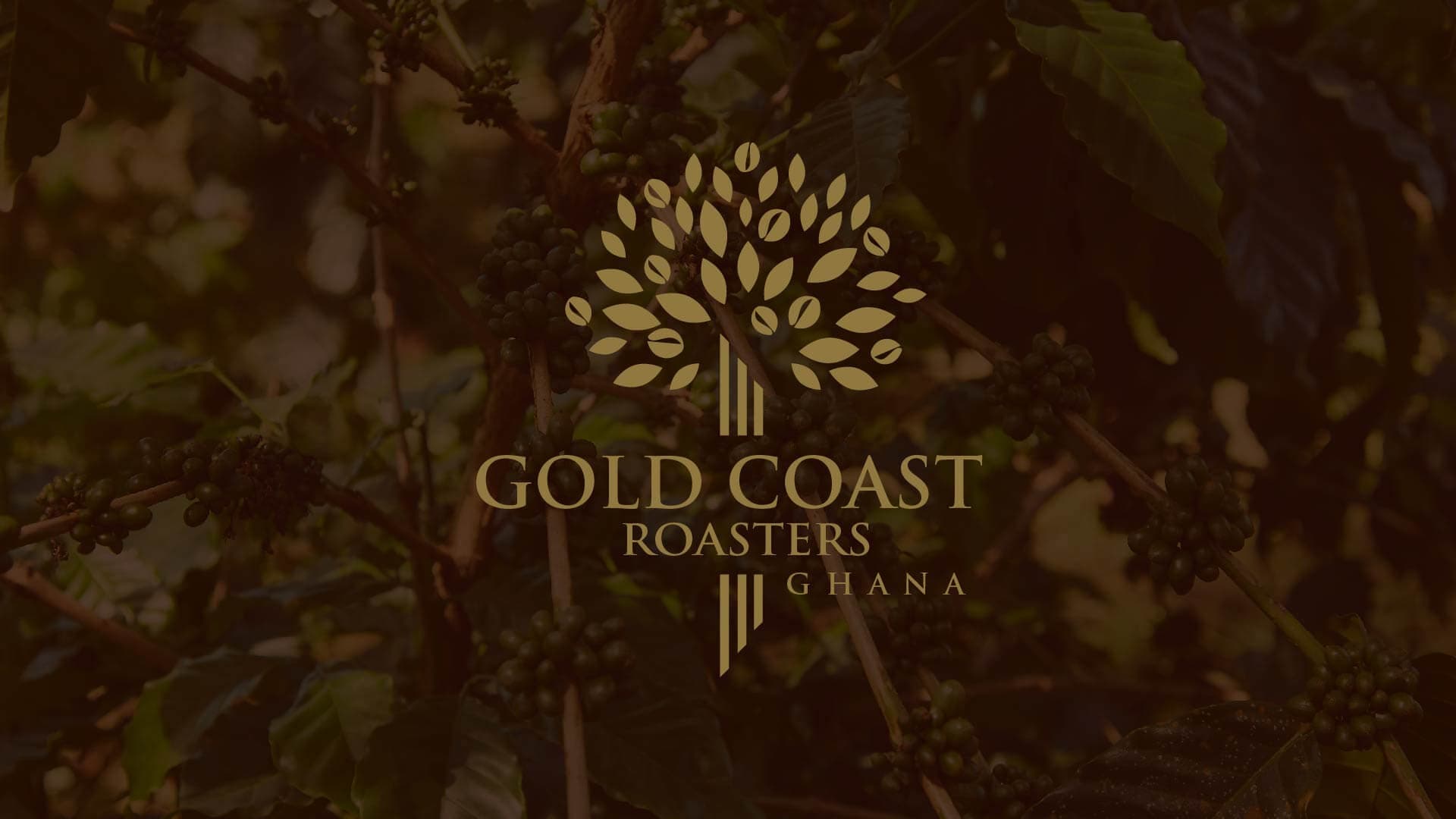 Gold Coast Roasters Ghana