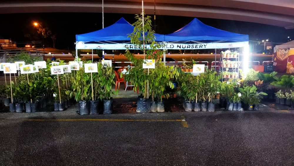 Green world Nursery