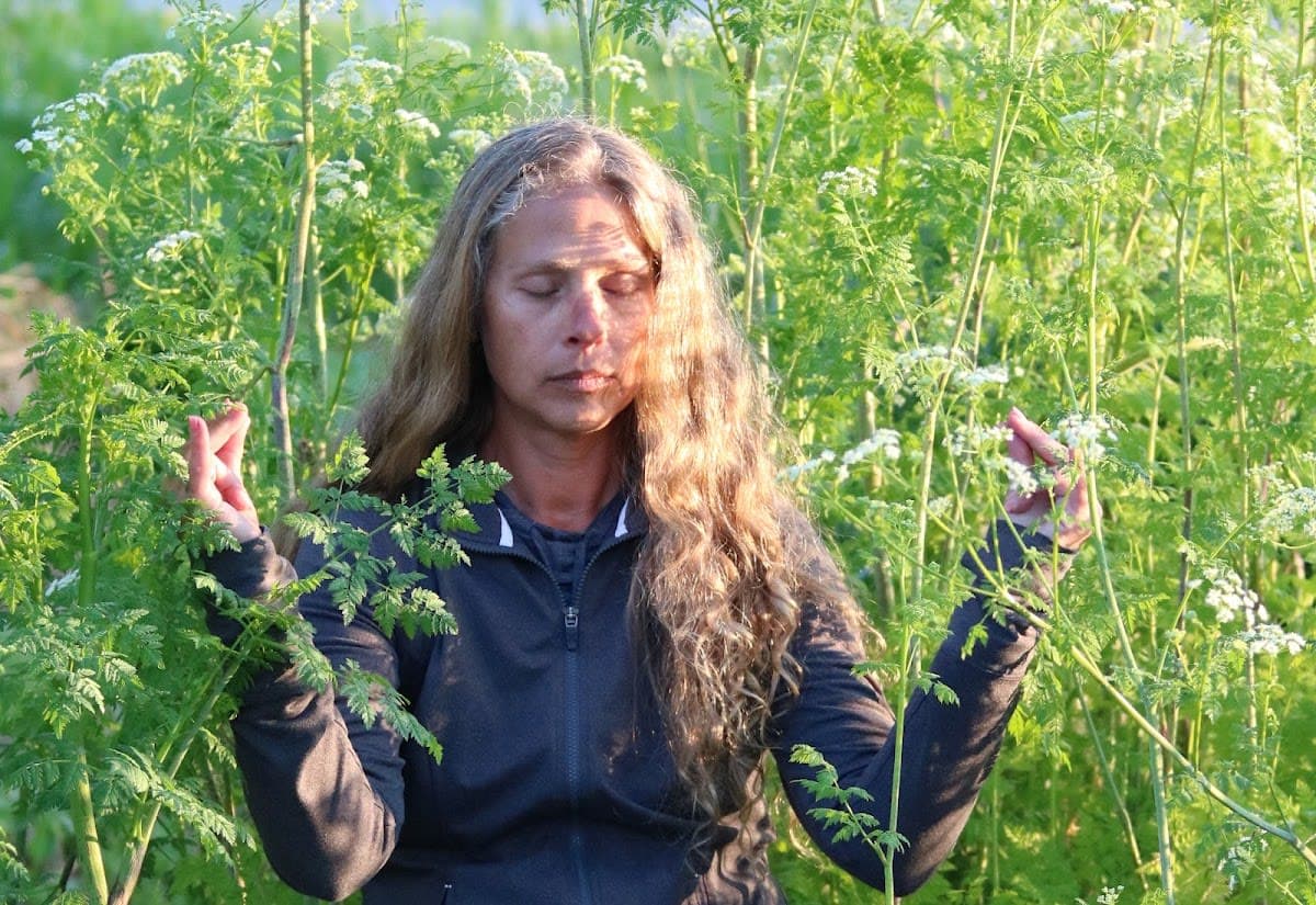 Grounded Yoga and Meditation