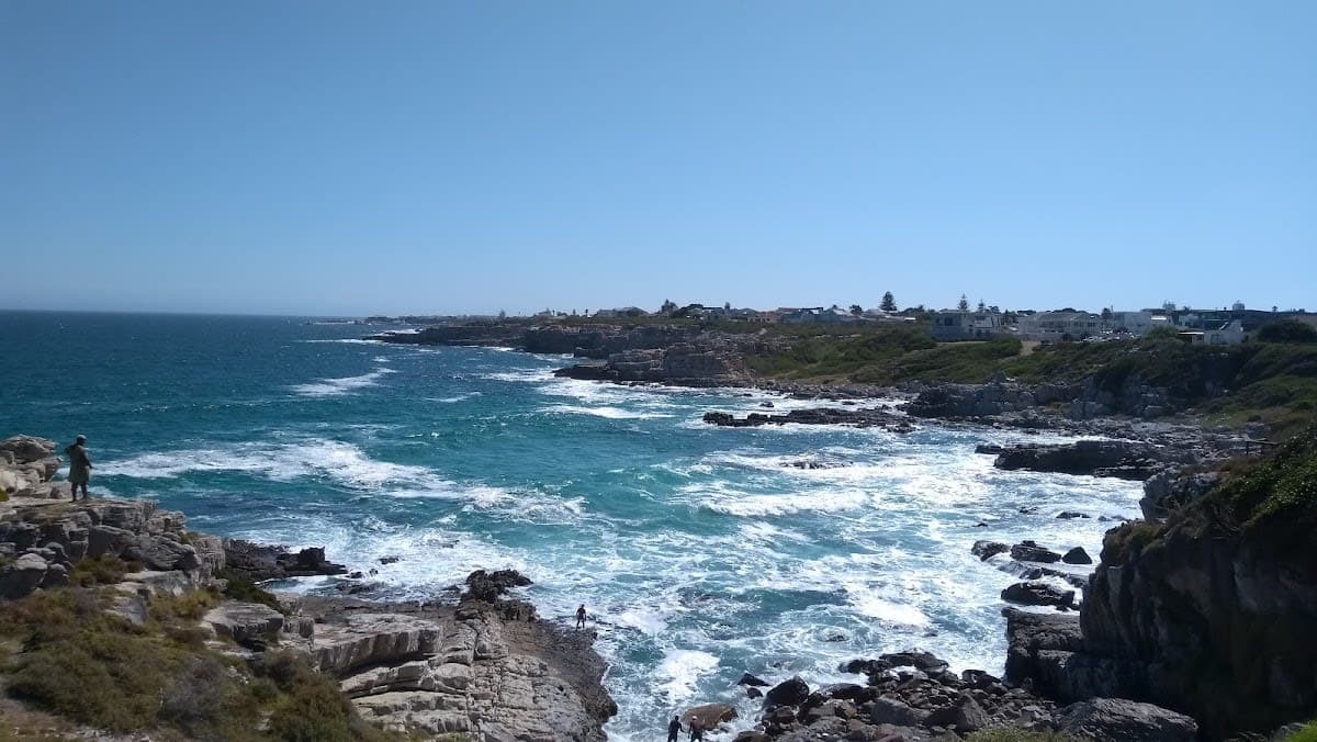 Hermanus Cliff Path Biodiversity Walk