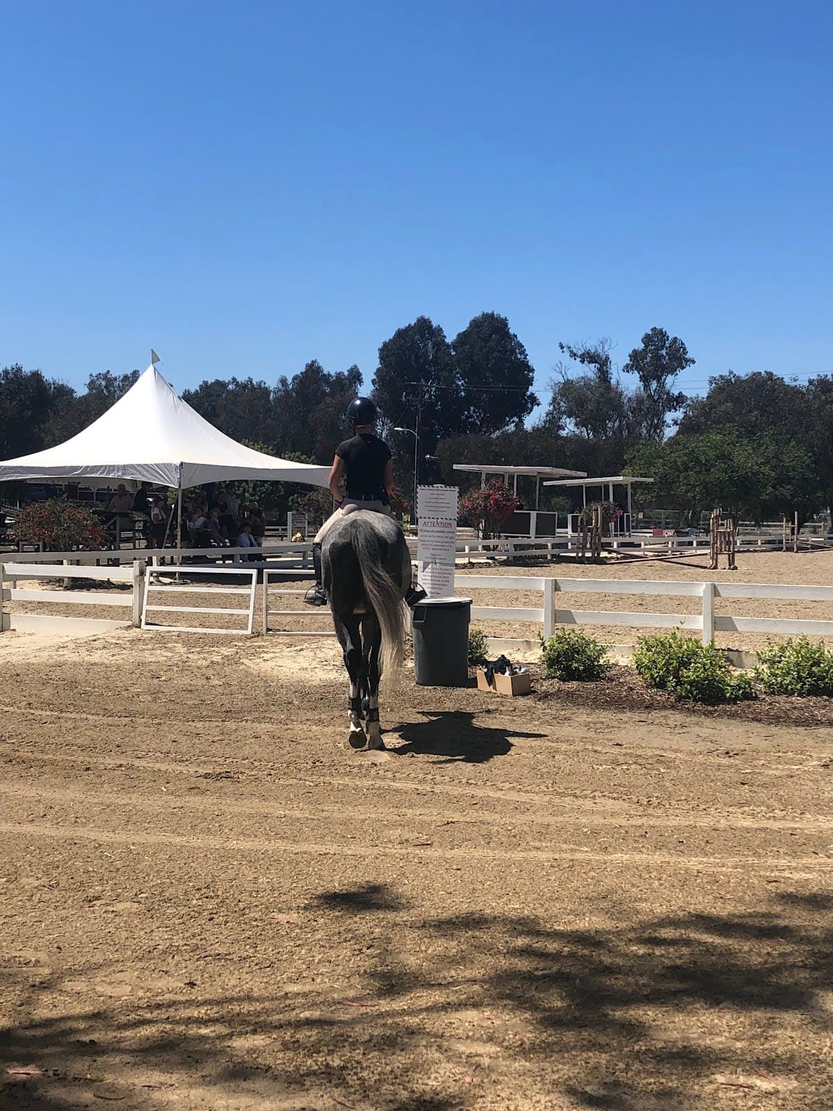 Horseplay Rentals
