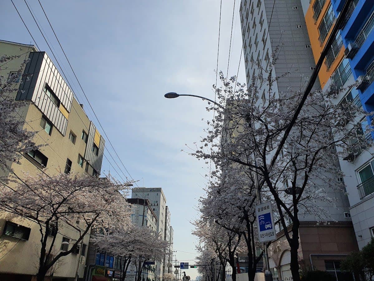 Hotel S Seoul