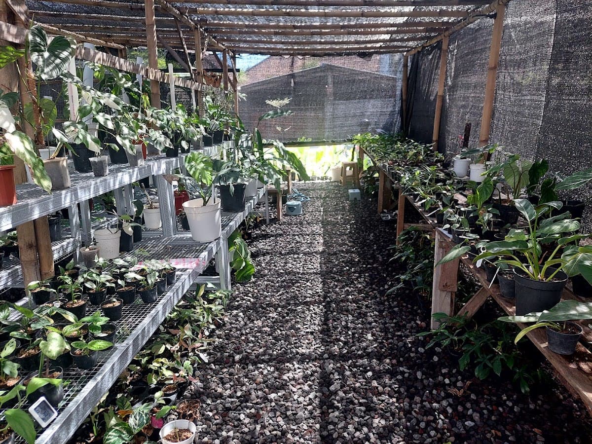 Layanan Berkebun