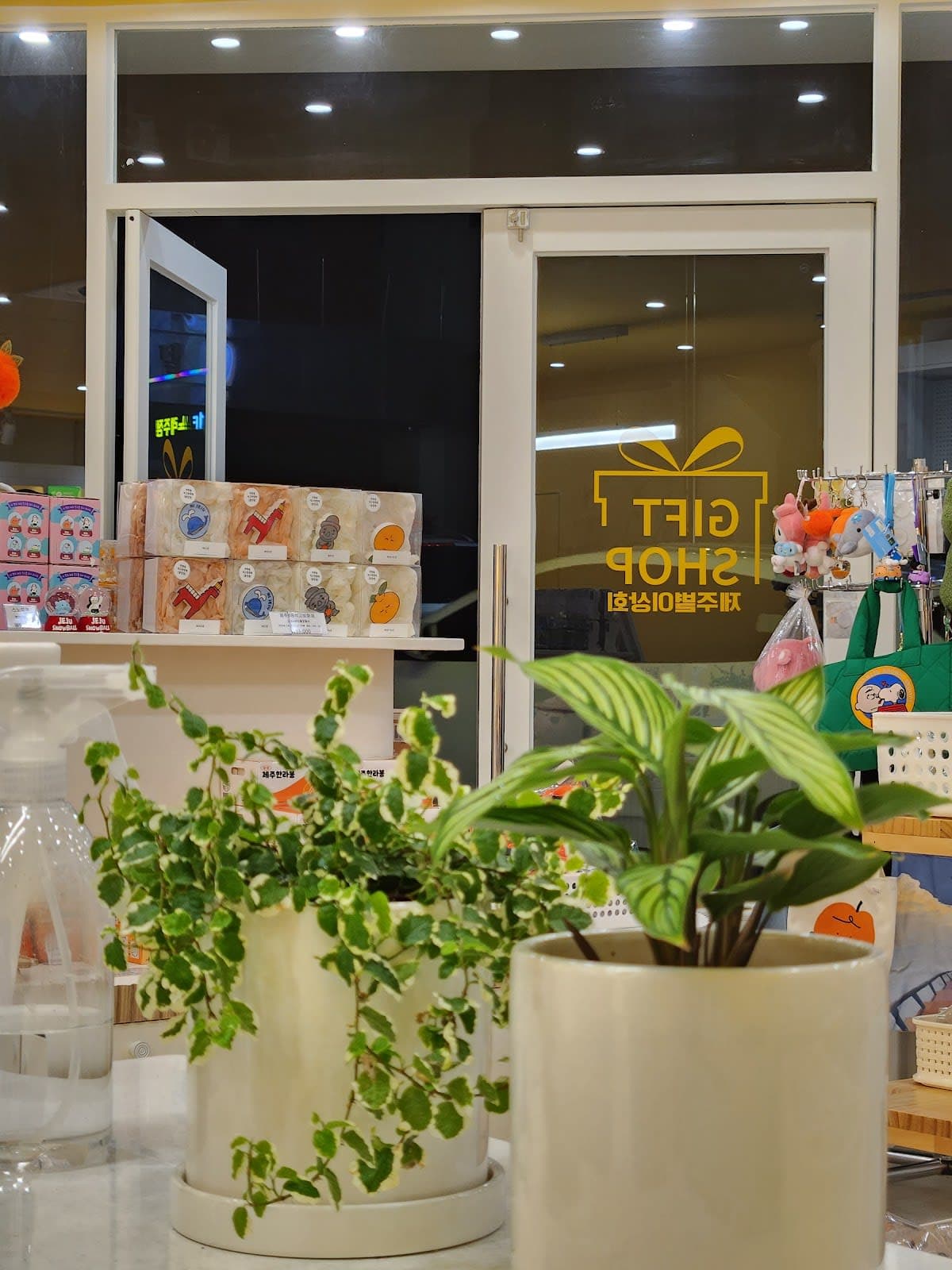 Jeju Star Store