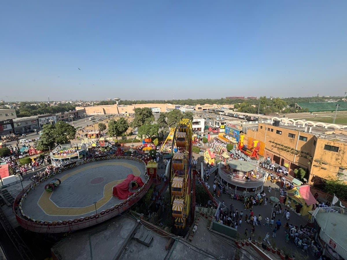 Joyland