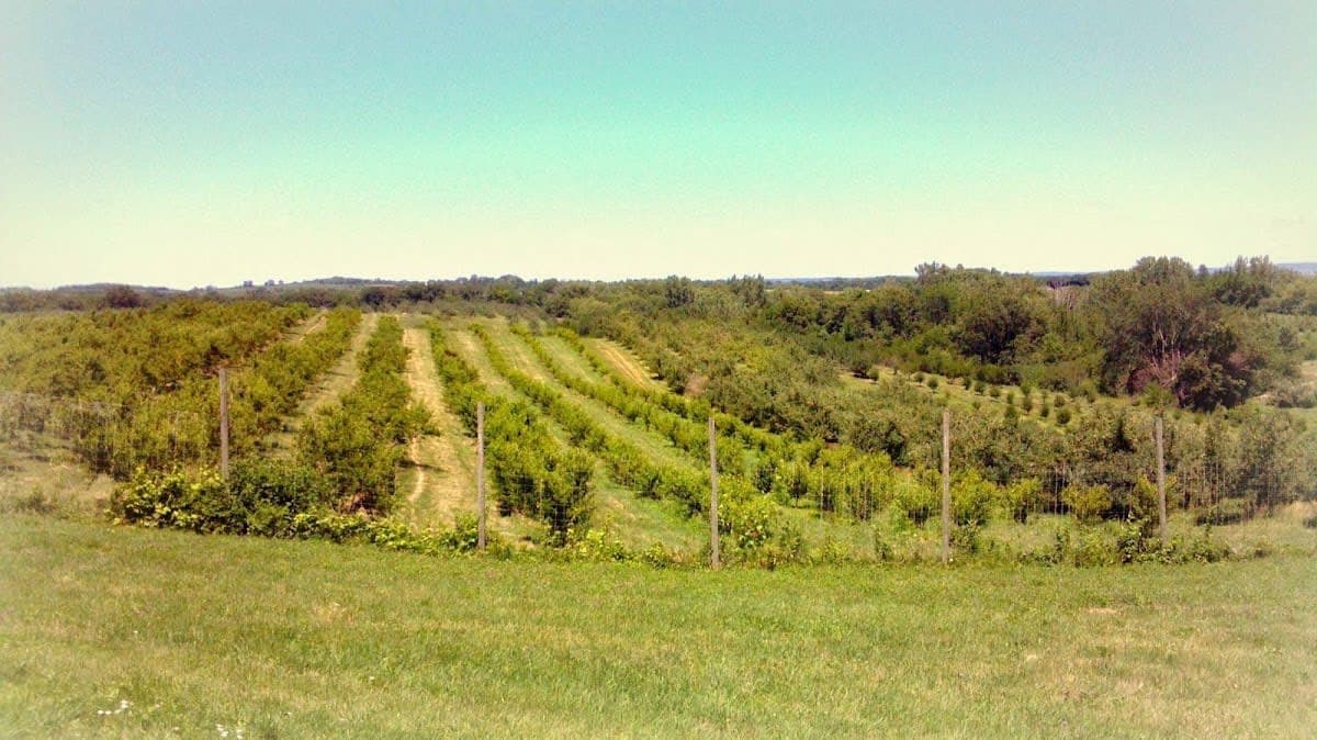 Kimmel Orchard & Vineyard