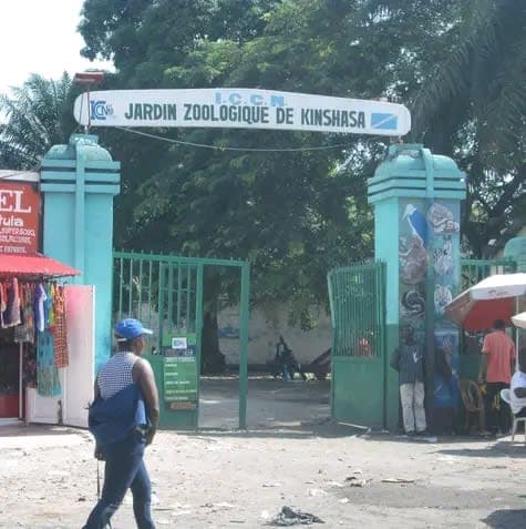 Kinshasa Zoo